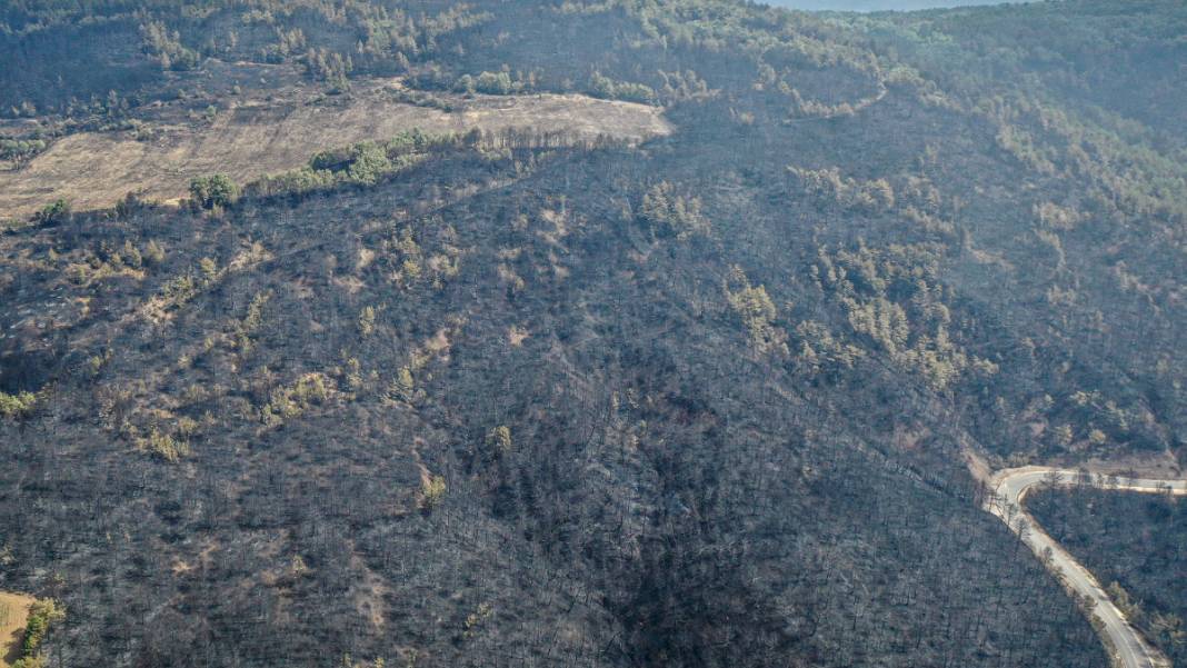 Sakarya'da başlayan yangın kontrolden çıktı: Bilecik'in ormanları siyaha büründü 5